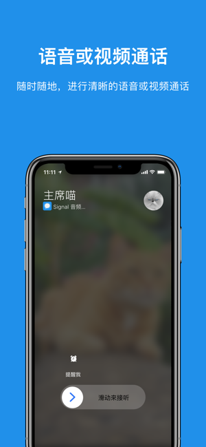 Signal app迅雷下载