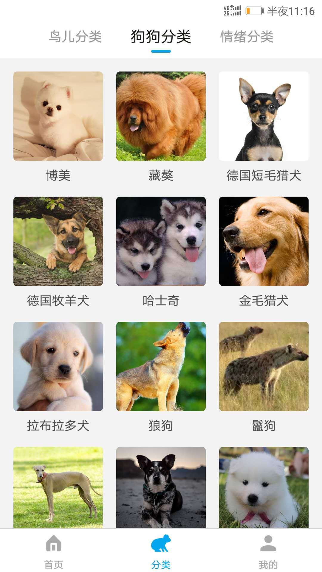 动物翻译器中文版下载免费