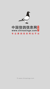 中国信鸽信息网下载