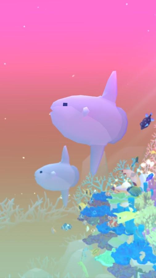 Tap Tap Fish