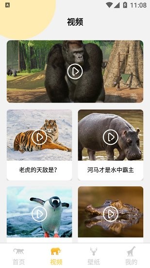 壁纸app