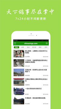 中国信鸽信息网下载