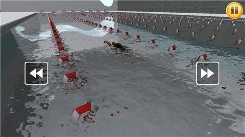 游泳比赛3D下载
