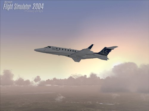 模拟飞行2004下载