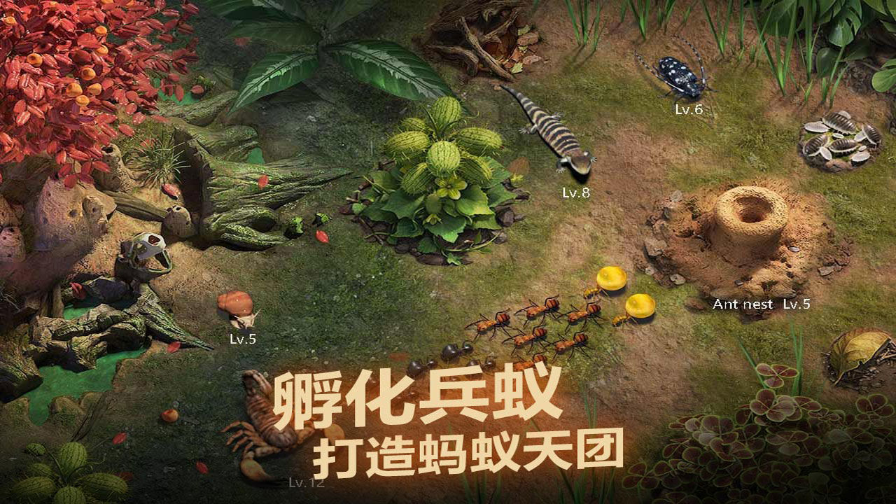 小小蚁国无限钻石版