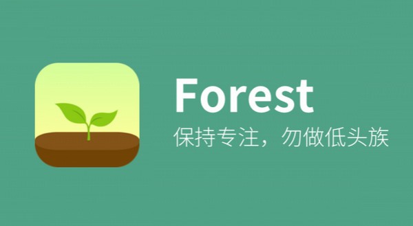 Forest迅雷下载