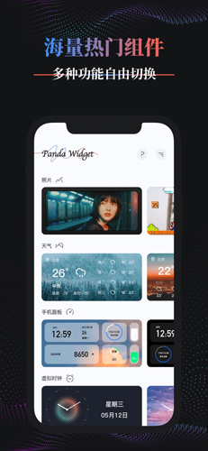 Panda Widget