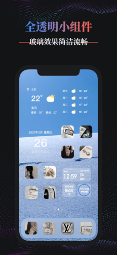 Panda Widget