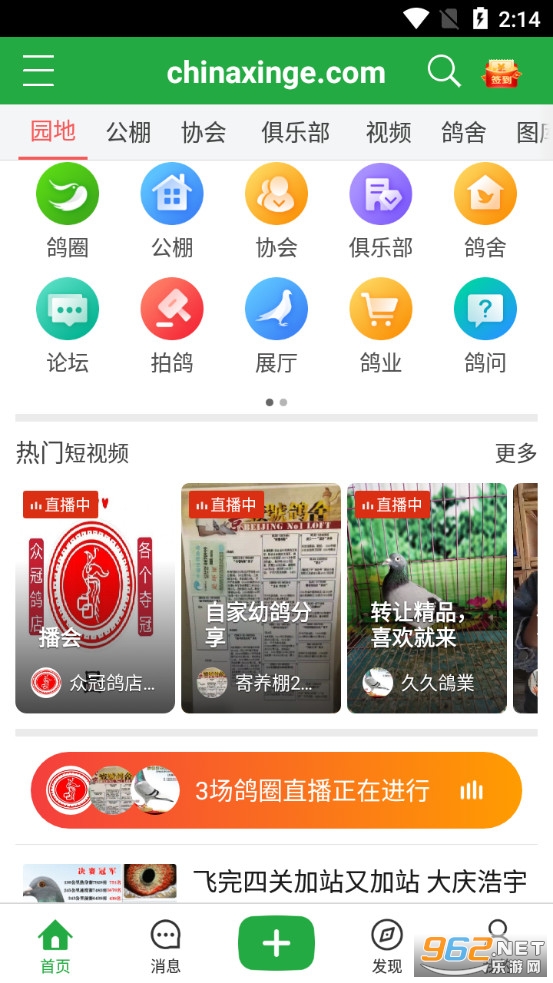 中国信鸽信息网手机版