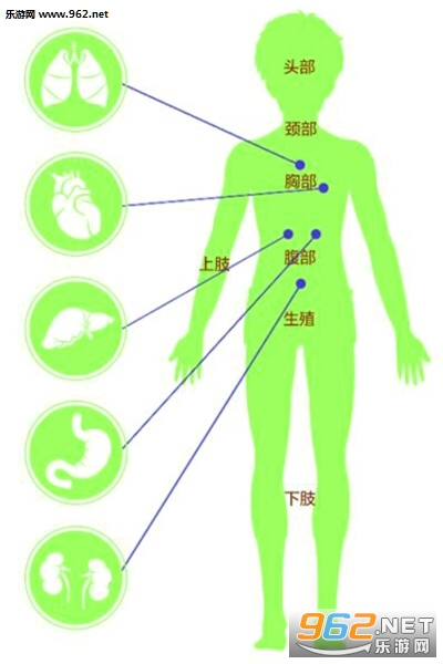 健康武汉官方客户端下载