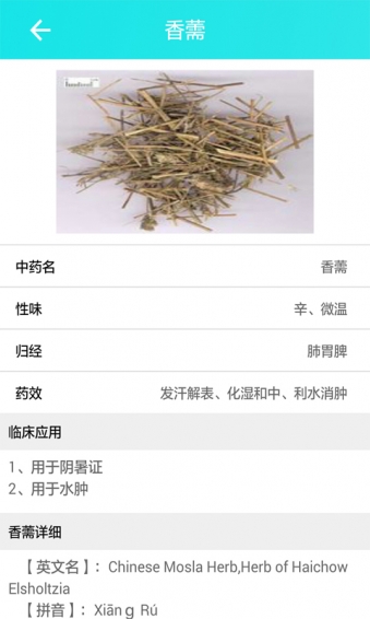 中药学表格最新版下载