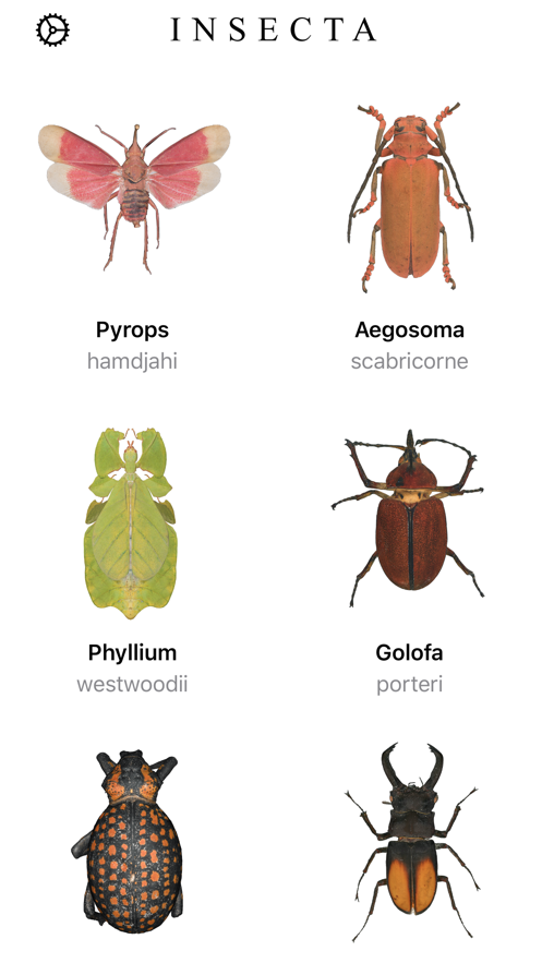 Insecta:功能