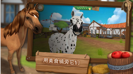 Horse Hotel