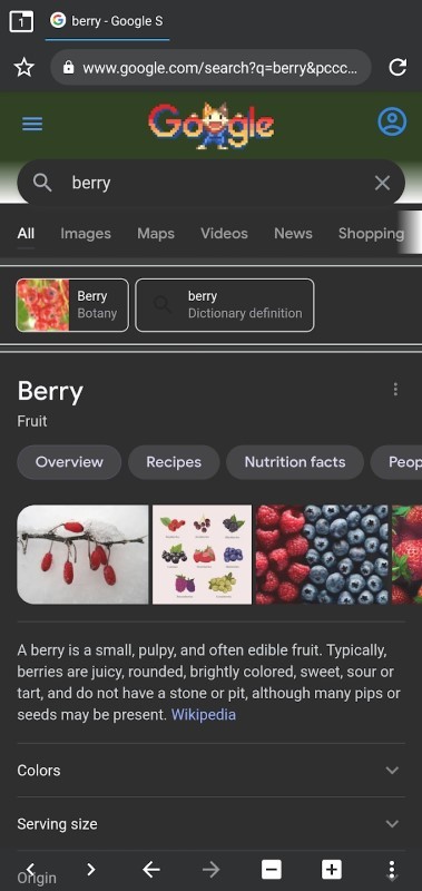 berry浏览器历史版本