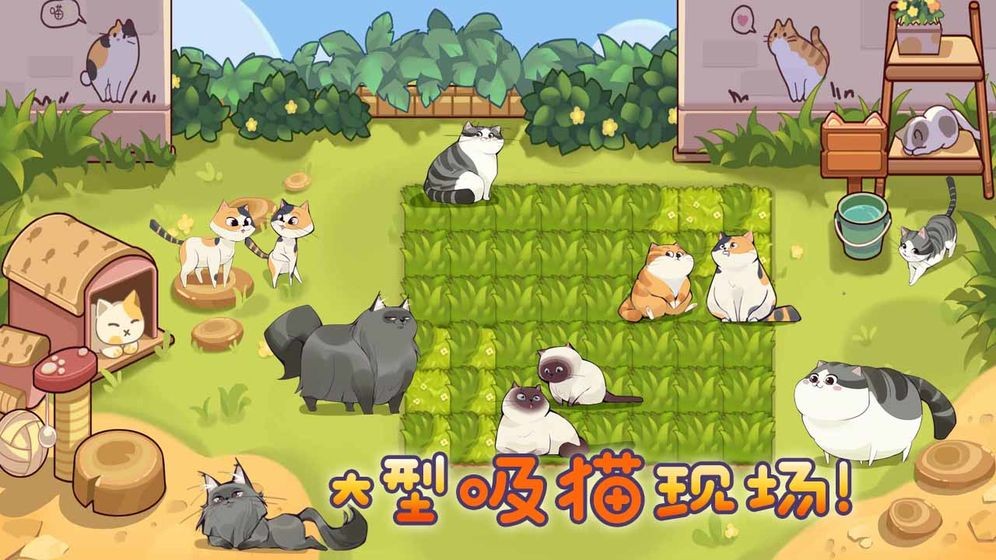 猫咪物语最新版